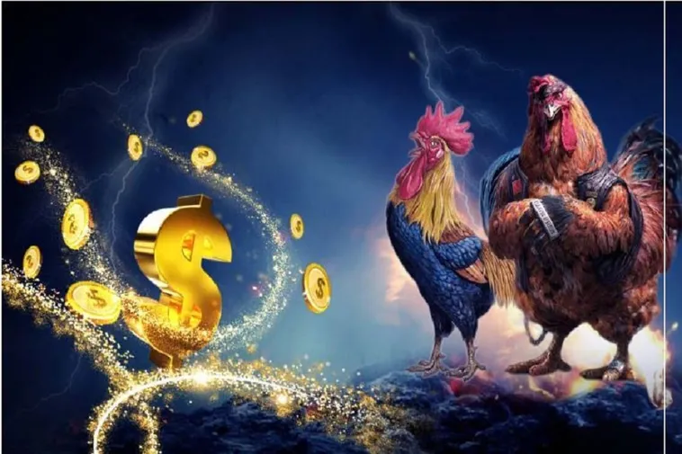 Tham Gia Đá Gà FB88 Ngay Để Trải Nghiệm Cá Cược Hấp Dẫn Và Thắng Lớn Hôm Nay