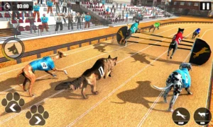Hướng Dẫn Chơi Game Nhanh Đua Chó Tại FB88 Thắng Nhanh Hiệu Quả