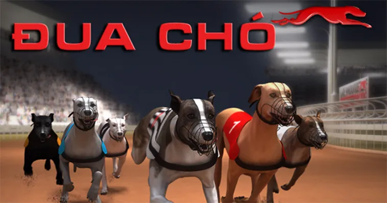 Hướng Dẫn Chơi Game Nhanh Đua Chó Tại FB88 Thắng Nhanh Hiệu Quả 2 Hướng Dẫn Chơi Game Nhanh Đua Chó Tại FB88 Thắng Nhanh Hiệu Quả